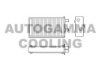 AUTOGAMMA 102425 Heat Exchanger, interior heating